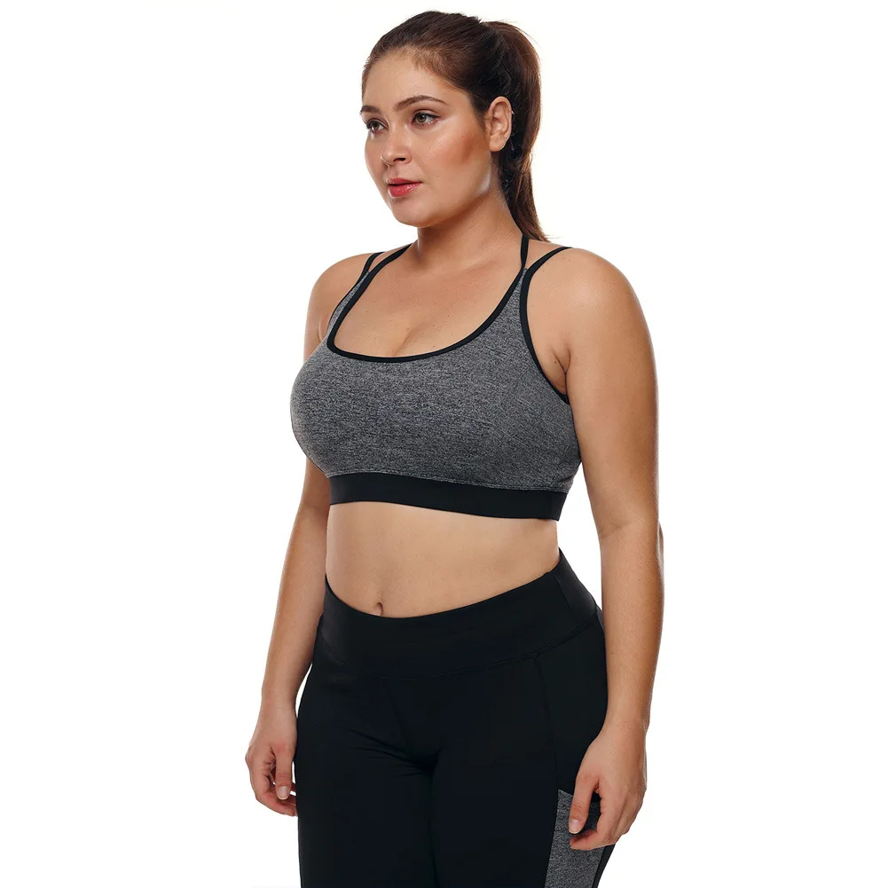 Купить Спортивный Бюстгальтер Для Фитнеса Большого Размера
