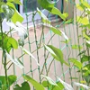 Garden Supplies