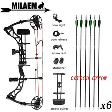 

KAIMEI QIN Archery 30-70lbs Compound Bow And Arrow Set Carbow Arrow IBO329FPS 85%Labor Saving Ratio Shooting Hunting Accessories