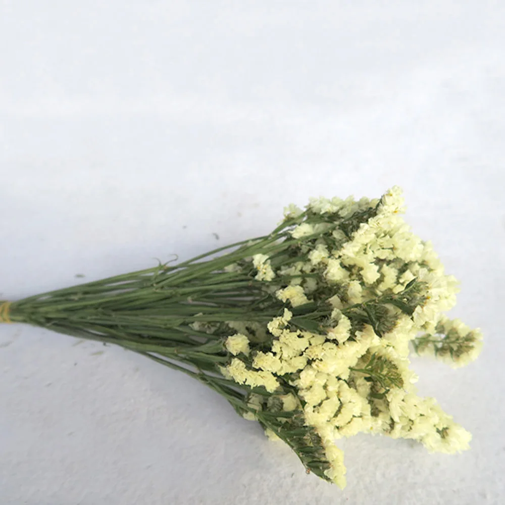 2918735115_1619368995