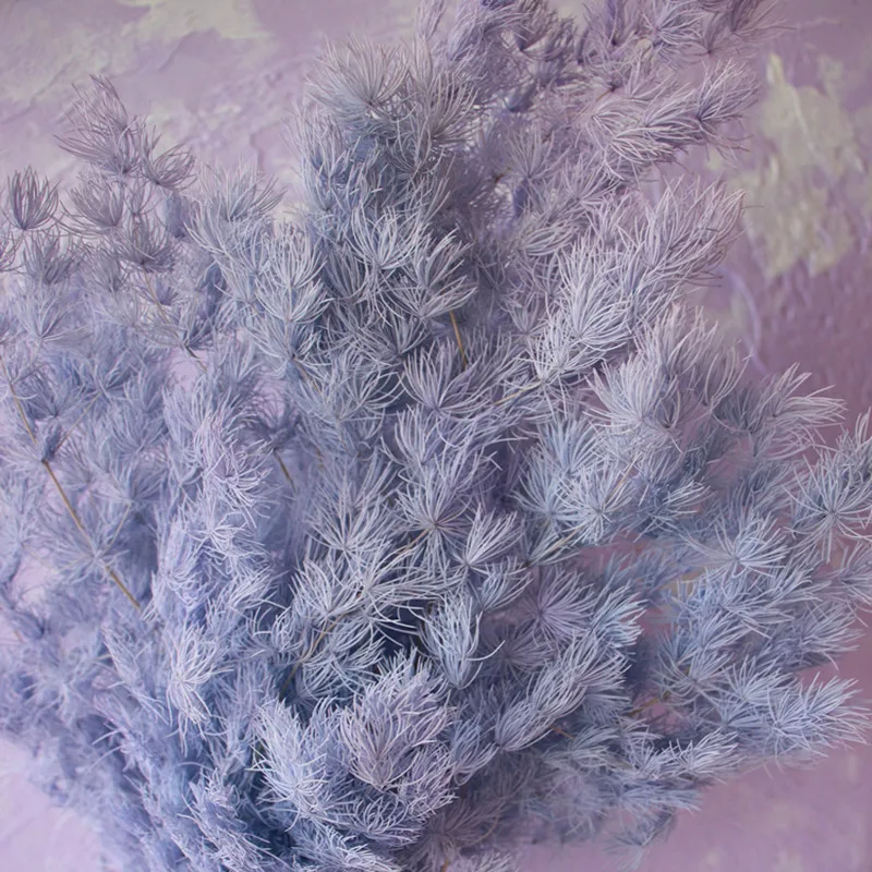 O1CN01JsQ5mK1plhgosCL57_!!681845401