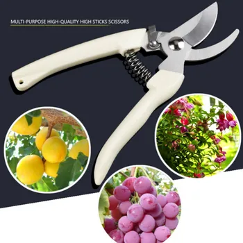 

17.5cm Gardening Fruit Shears Tree Branch Shears Fruit Trees, Flowers,Branches and Scissors Garden Shears Hand Tools G