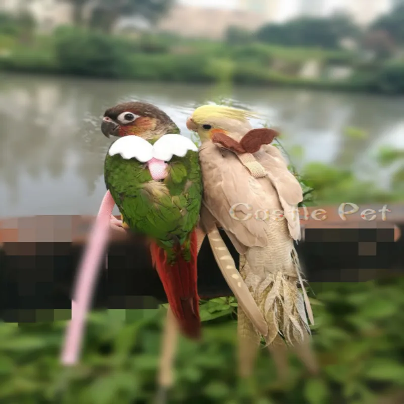 Ручной попугай Летающий поводок животное птичий Канат с крылом для маленького попугая Cockatiel солнце попугай монах длиннохвостый попугай Попугайчик Летающий костюм