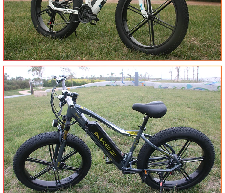 electric Bicycle 750 W 26 Inch 4.0 Fat Tire Snow Mountain Bike Lithium Battery Aluminum Alloy Ebike 350 W Adult