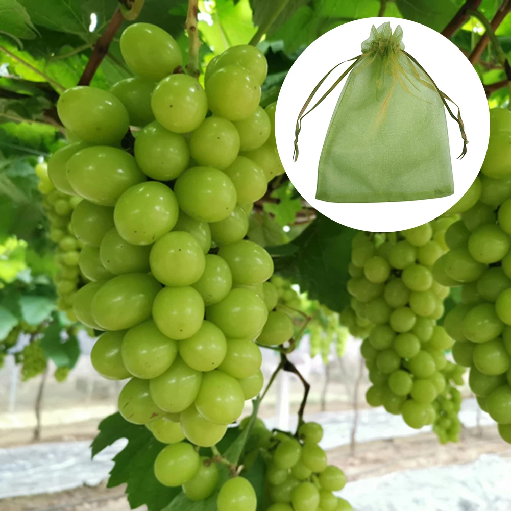 100Pcs Prevent Grape Fruit Mosquitoes Bag Anti Bird Drawstring Net Pest Control Pouch Storage Net Plant Protective Net Pest