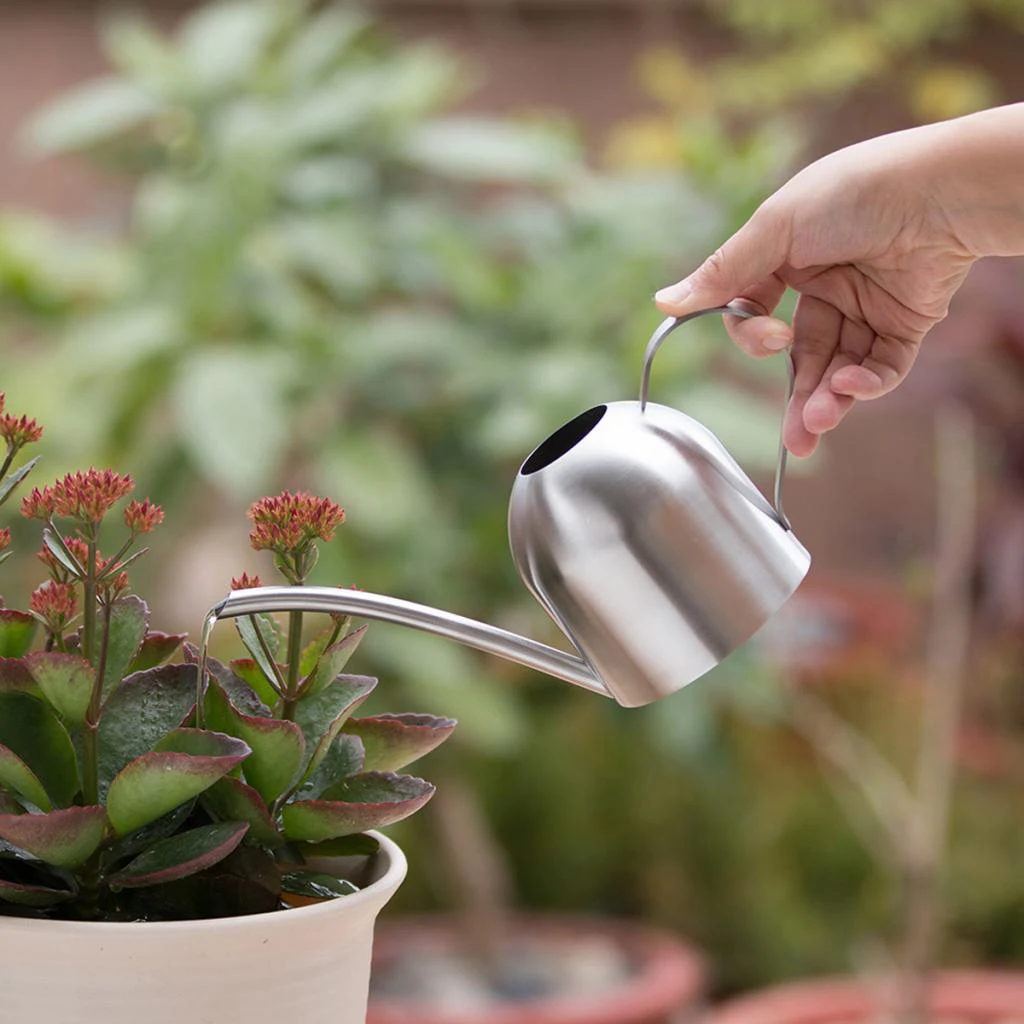 Long Mouth Stainless Steel Watering Can Great For Watering Home Balcony, Office, Hotel Garden Plants