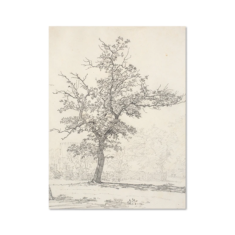 Banyan Tree Drawing Stock Illustrations – 248 Banyan Tree Drawing Stock  Illustrations, Vectors & Clipart - Dreamstime