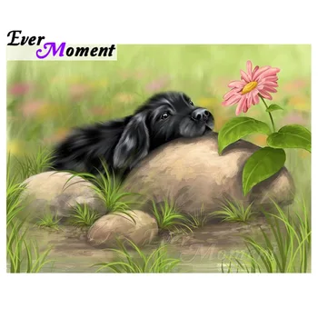 

Ever Moment Diamond Paintings Dog Green Grass Children Adults Hobby And Handicrafts Square Stones DIY Home Decoration Gift 4Y999