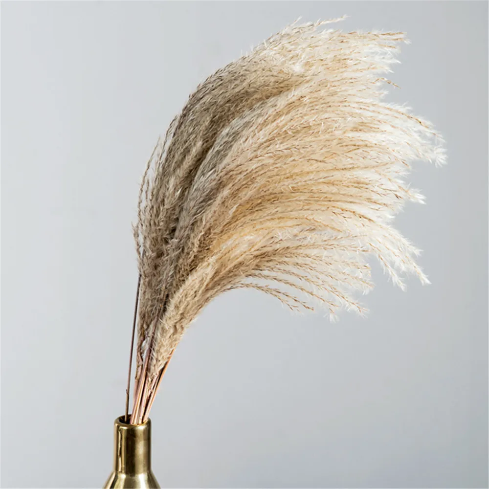 Pampas Gras Kerst Decoration Real 20 шт. Reed Natuurlijke Gedroogde Plant Ordinary Bruiloft Bloem BunchNO VAAS | Дом и сад