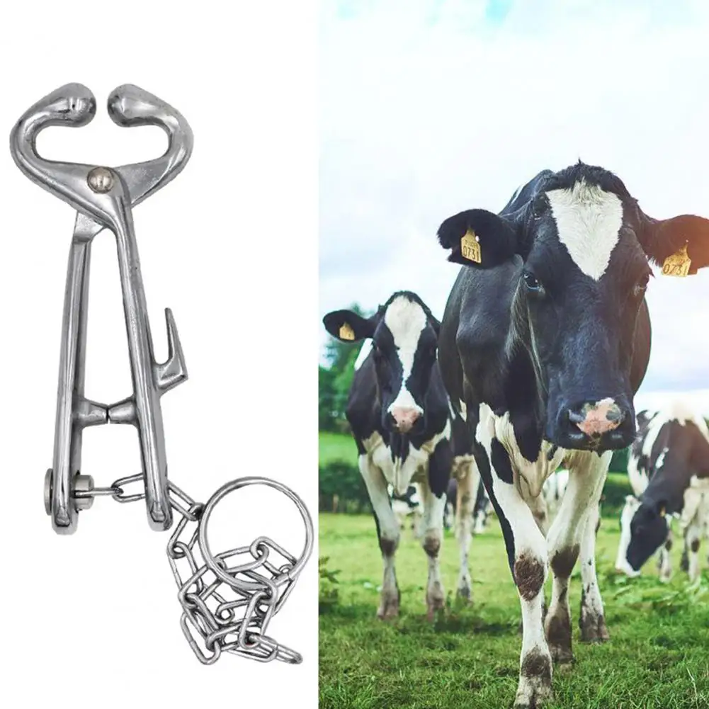 Anneau De Nez De Bétail Accessoire De Bétail En Métal Anneau De
