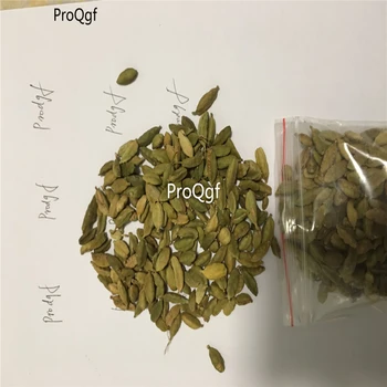 

Ngryise 50gram Alpinia katsumadai