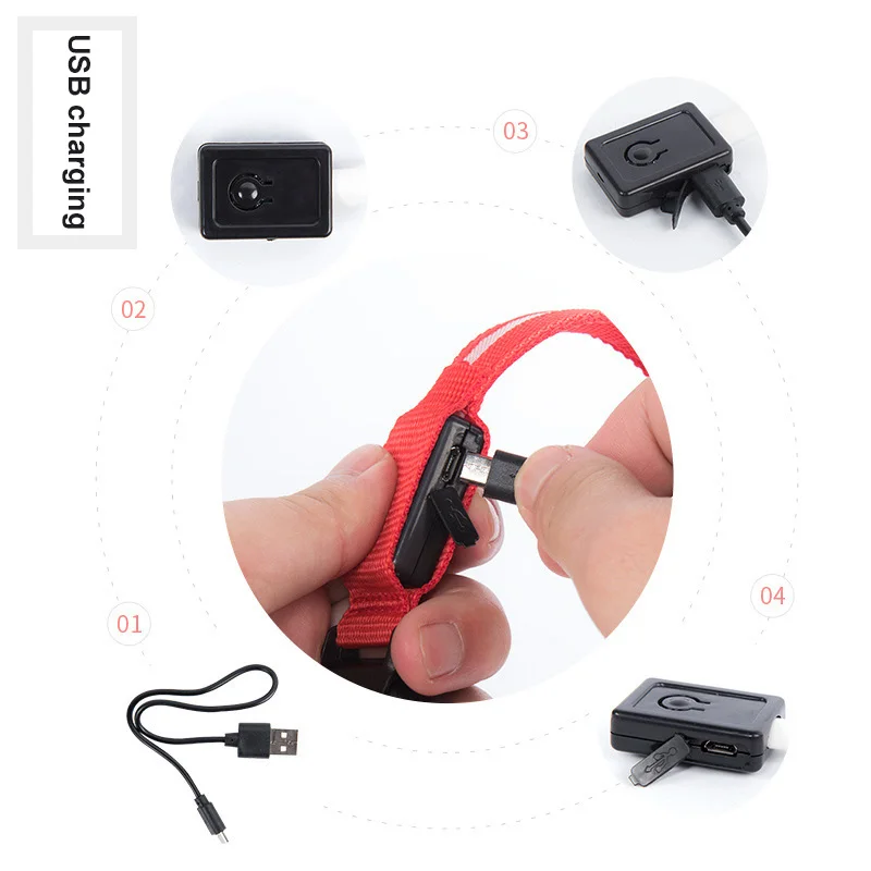 KAIRUISEN светодиодный ошейник для собак с usb зарядкой щенков домашних
