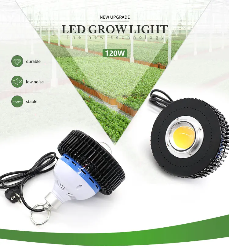 CREE CXB3590 COB LED Grow Light Full Spectrum 120W 3000k 3500k for growTent Greenhouses Hydroponics led grow lamp