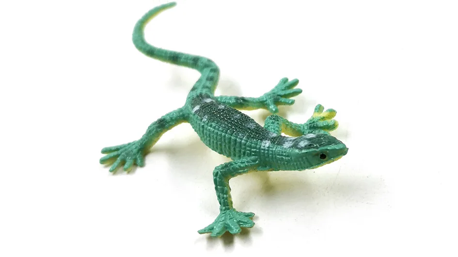 详情页-12款-彩色蜥蜴等_06