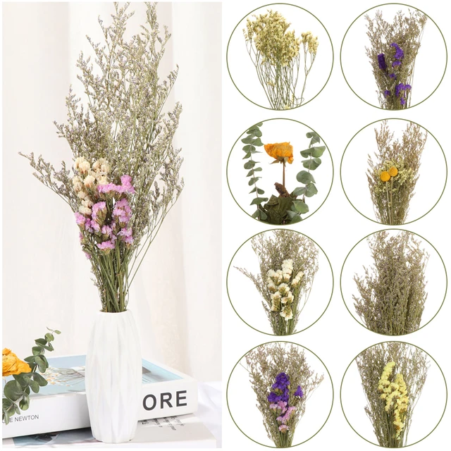 Mini Dry Flowers 8 Bundles of Natural Real Dried Flowers Scrapbook