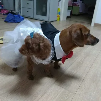 

Male Dog Clothes Boy Dog Suit Tuxedo Coat Jacket Puppy Pet Wedding Dress Small Dog Chihuahua Costume Black Pet Party Apparel