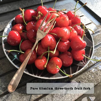 

PYTITANS titanium cutlery pure titanium fruit fork picnic convenient portable multifunctional spoon titanium fruit fork