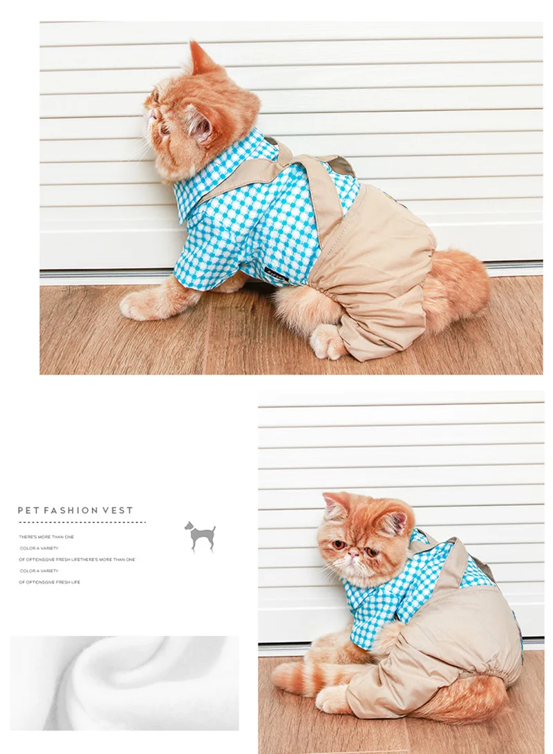 O1CN01f07HVw1R01ccLcx3R_!!273292048