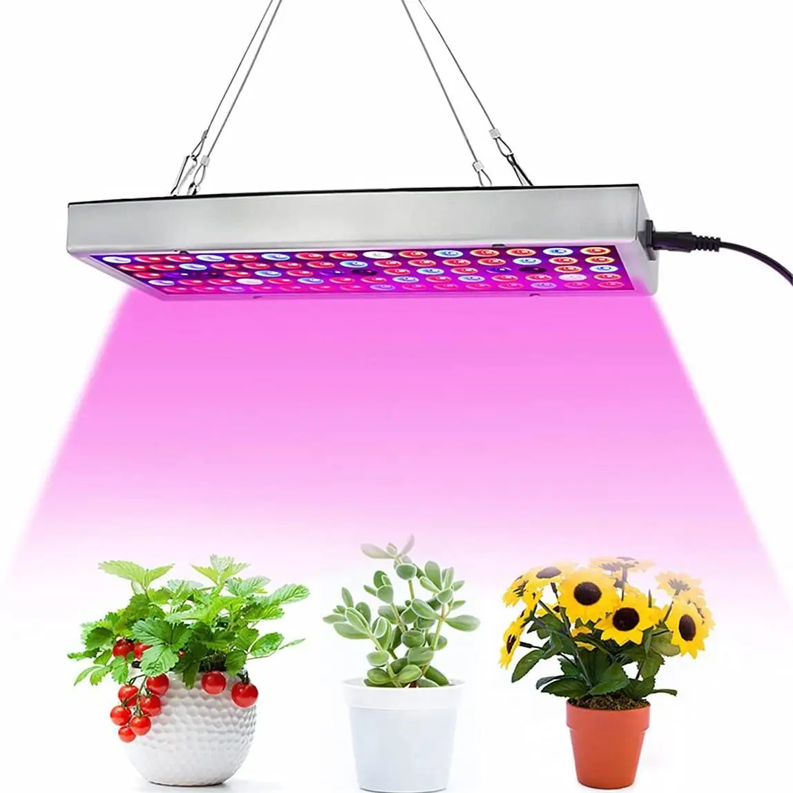 10 PCS Full Spectrum 220V 110V 20W 30W 50W LED Bulb Lamp Chip Cob for Plant Growing