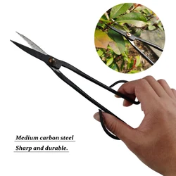 Outil de bonsaï pour débutants, ciseaux à Long manche, pour le jardinage, branches de plantes, 200mm, outils de jardin 
