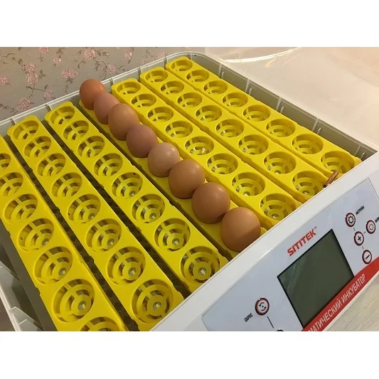 Инкубатор на 56 куриных яиц SITITEK 56 с автоматическим поворотом, программируемый инкубатор с контролем температуры