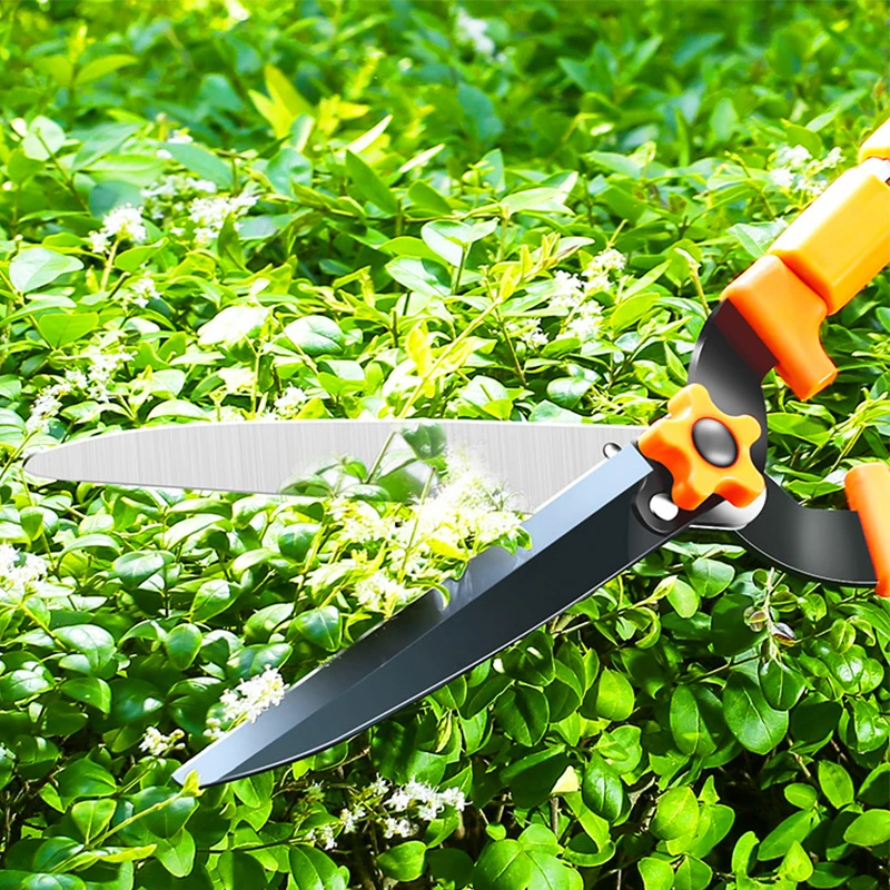 New DS 809S EFI PIN PadLock Unlock SN ICloud for