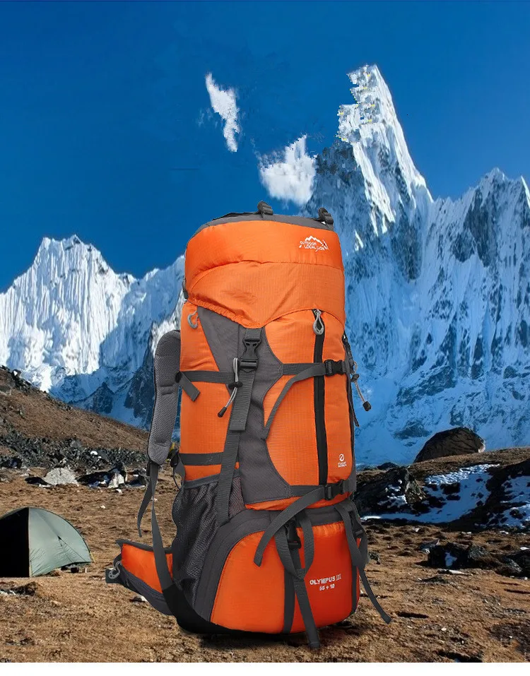 5576161163_726236625_