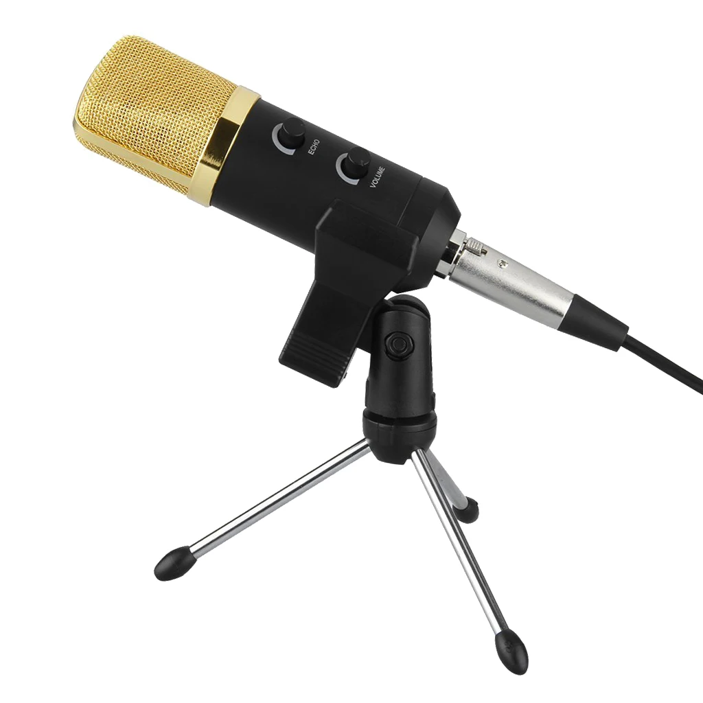 

Professional Condenser Sound Studio Recording Dynamic Microphone Mic With Stand Holder Mount