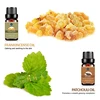 Skin Care