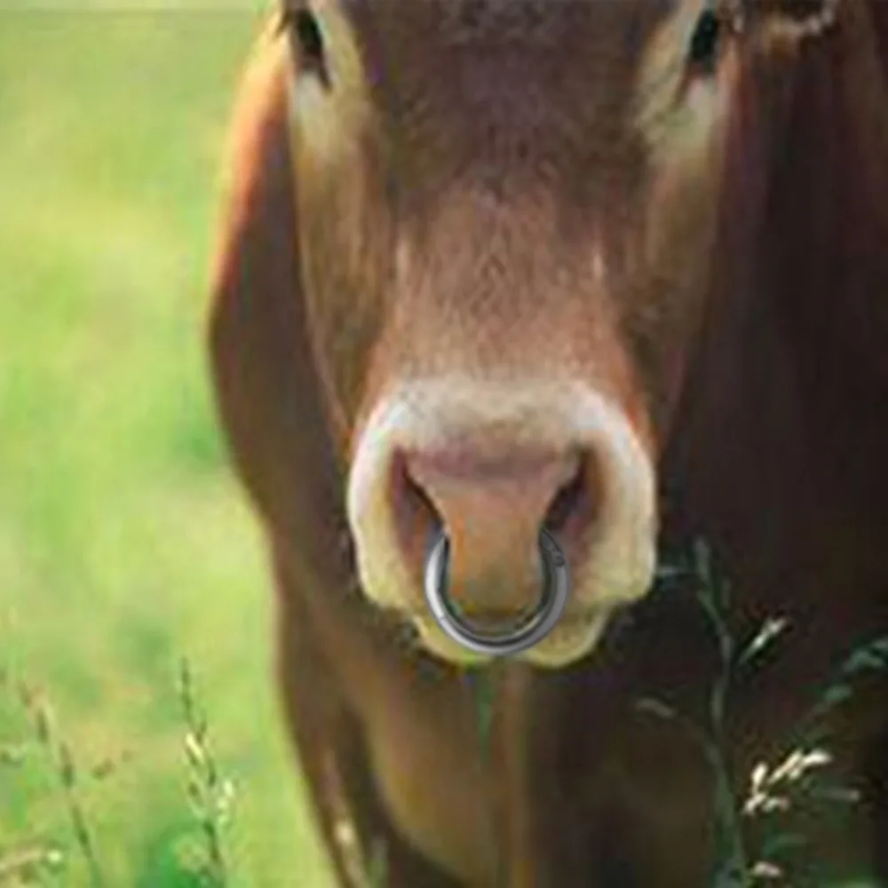 Бычий нос крупного рогатого скота кольцо телячий нос Тяговый зажим сельскохозяйственное оборудование