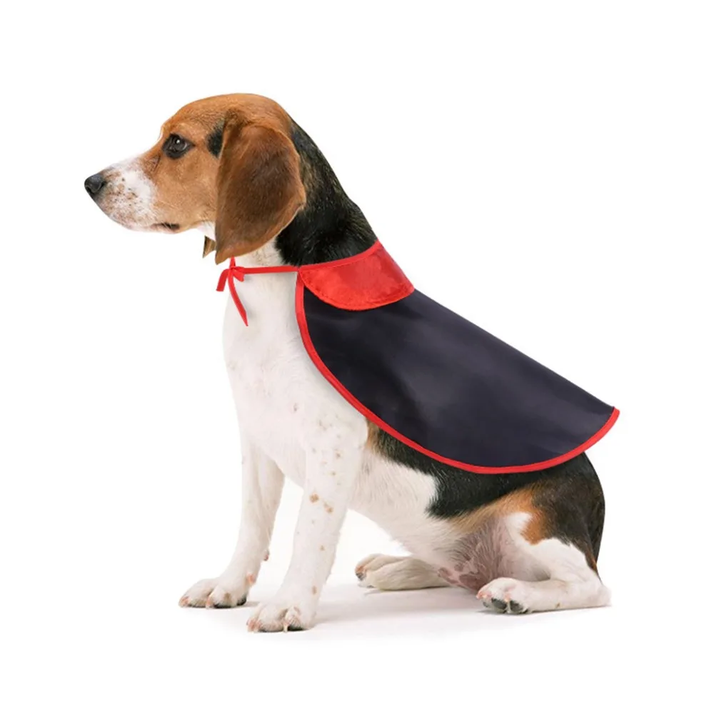 CJJ90805892_0339130957782927167