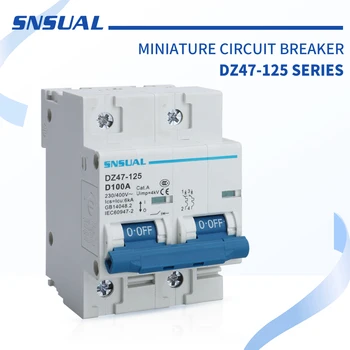

DZ47-125 D100A 2P Small circuit breaker leakage protector domestic industry professional overload protection