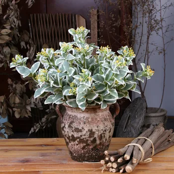 

5 Head Silver Edge Leaf Artificial Plant Leaves Silver Edge Leaf Flower Artificial Flower Wedding Wedding Household Decoration