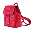 New Real Cowhide Crocodile Pattern Women Backpack Fashion Women Genuine Leather Backpack Luxury Famous Brand Female Bag 6