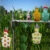 Pet Bird Parrot Diaper Nappy Flight Suit Cute Colorful Bird Clothes For Green Cheek Conure Parakeet Cockatiels Pigeons Pet Bird