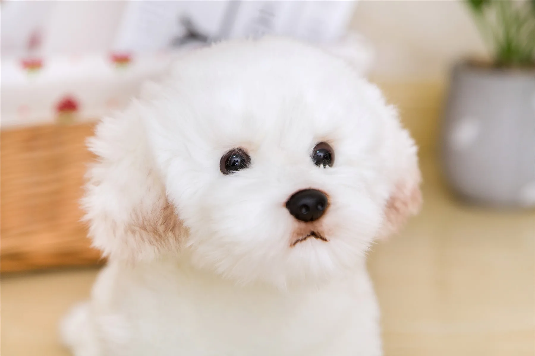 Like Real Plush Dogs Stuffed Fuzzy Baby Doggys Sitting Mastiff Wolf Maltese Dogs Props Decor Plushie Home Office 26cm