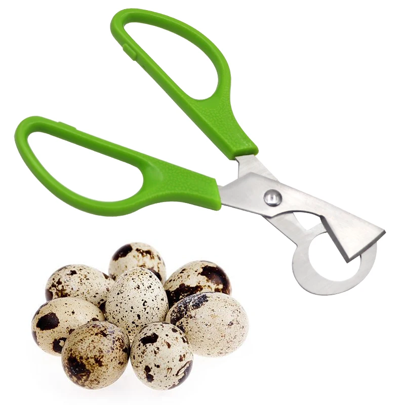 M2EE 1pcs Quail Eggs Scissors, Stainless Steel Pigeon Quail Egg Cutter,  Pigeon Bird Quail Egg Opener Kitchen Egg Shears Tool - AliExpress