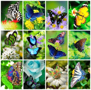 

HUACAN Full Square Diamond Painting 5D Butterfly Decor For Home Diamond Embroidery Mosaic Sale Animal Craft Kit