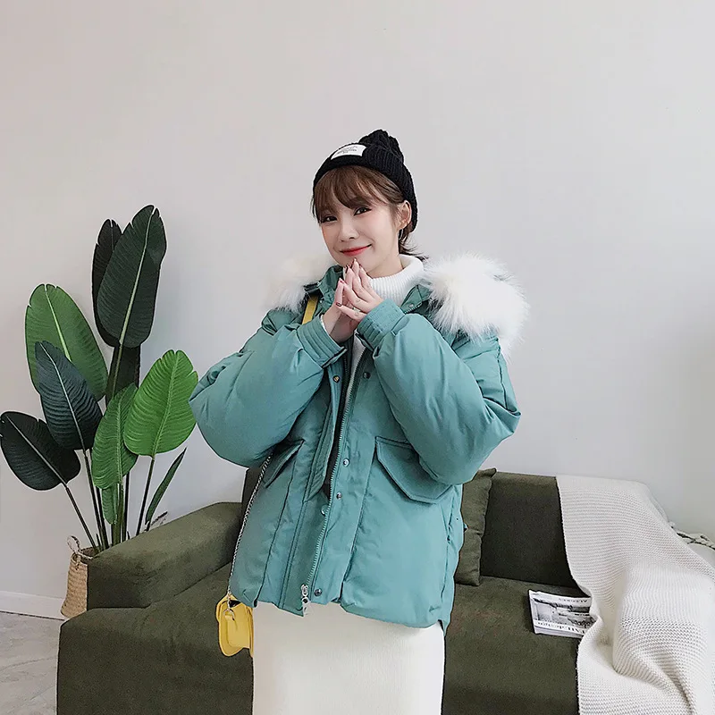 

Cotton-padded Clothes Women's 2019 Winter New Style Short down Coat Korean-style BF Slim Fit Thick down Jacket Cotton-padded Clo