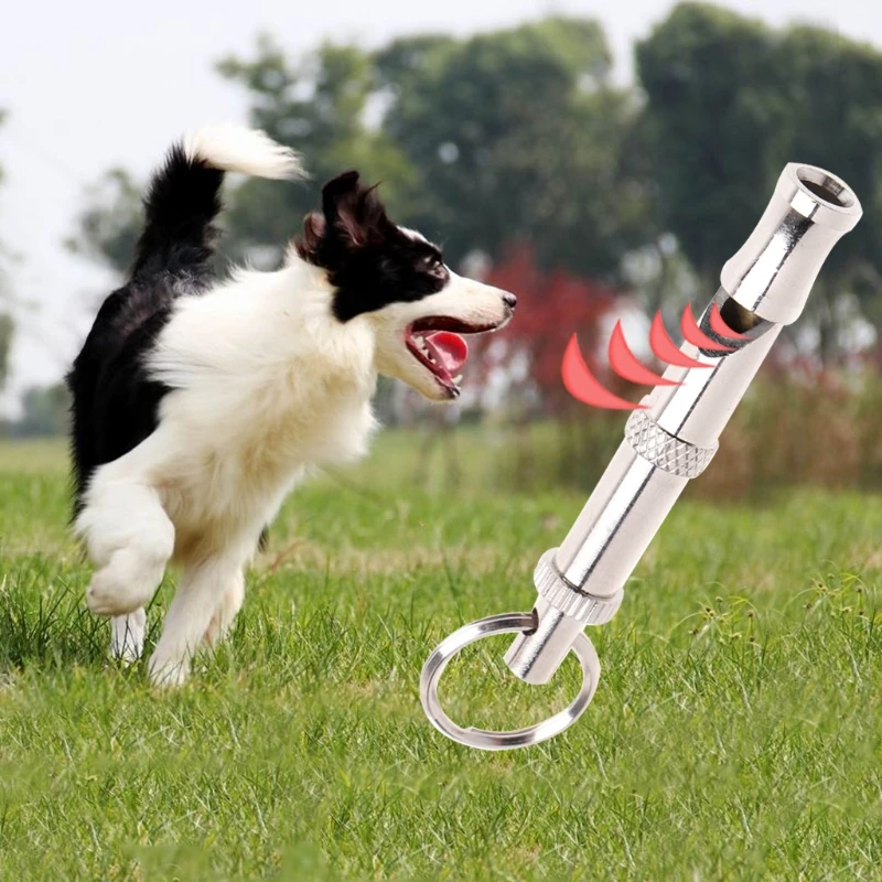 Pet Dog Training Obedience Whistle Ultrasonic Supersonic Sound Pitch Quiet Adjustable Flute Puppy PXPC