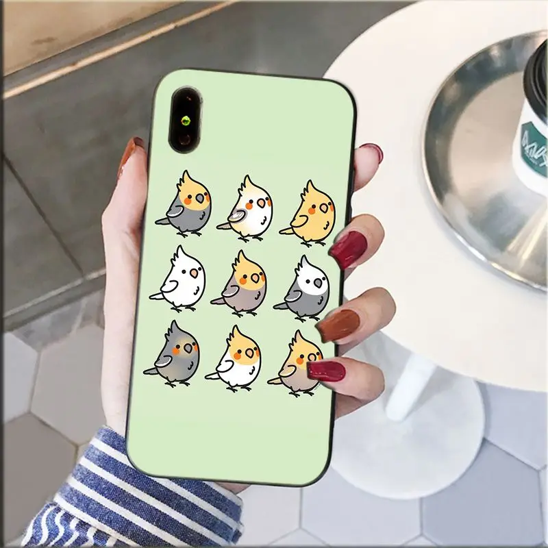 Chubby Cockatiel