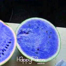 Распродажа! 50 шт./пакет Сад Синий арбуз Растения арбуза семена бонсай растения floresling NON-GMO съедобных фруктов,# KHEQC9