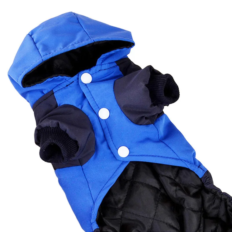 winter dog clothes