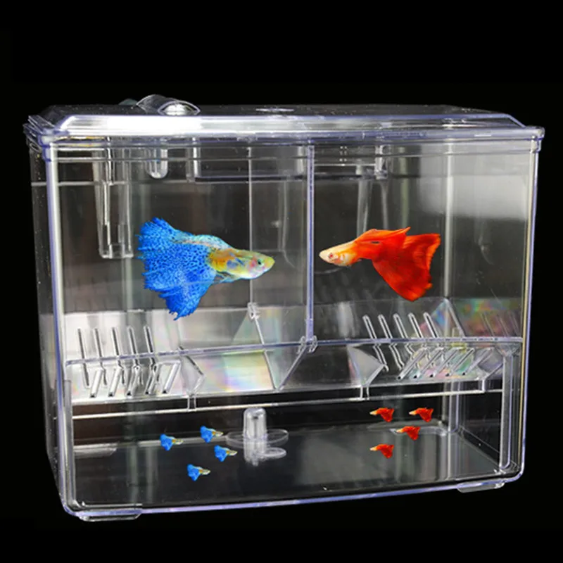 Breeding Tank ubicaciondepersonas.cdmx.gob.mx