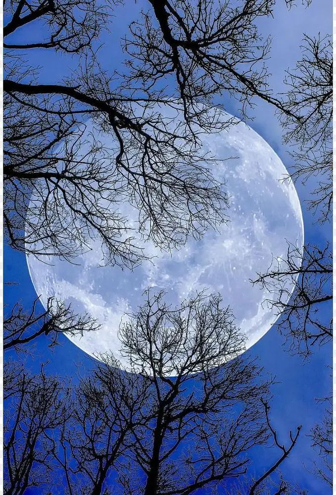 月光景观风景壁纸png图片素材免费下载 图片编号ywwmponm Pngbag素材网