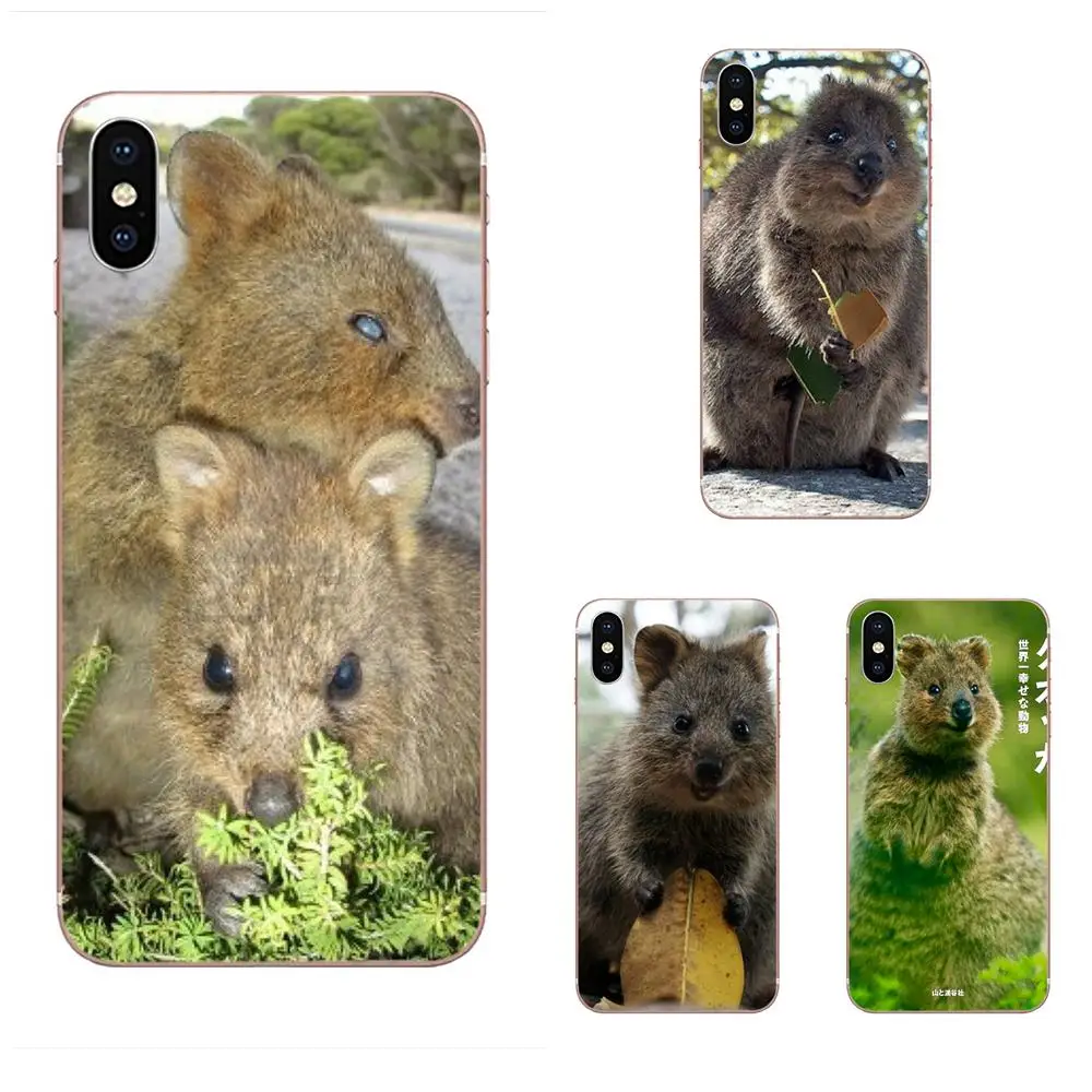 Мягкий чехол для телефонов Чехлы huawei P7 P8 P9 P10 P20 P30 Lite Mini Plus Pro Y9 Prime P Smart Z 2018 2019 Animal
