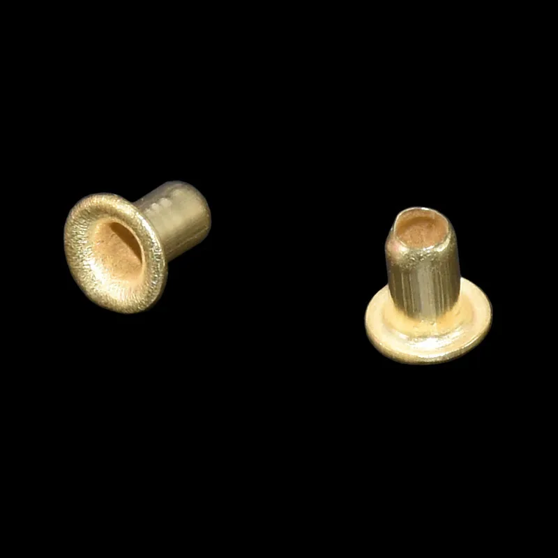 12100 pcs Bee Hives Installation Thread Hole Copper Plated Material About Beekeeping Tools Copper Eyes Beekeeping supplies