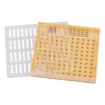 

Bee Queen Cell Cup Kit Box Queen Bee Cultivation Box Case Rearing System Beekeeping Tool Equipment Set