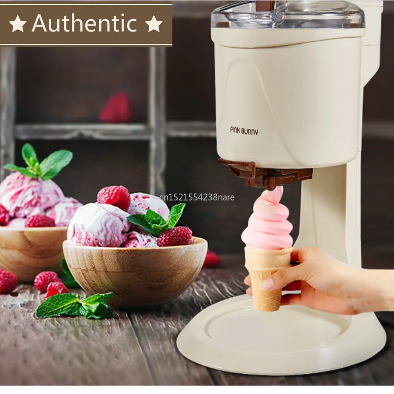220v Machine Icecream Fully Automatic Mini Fruit Ice Cream Maker For