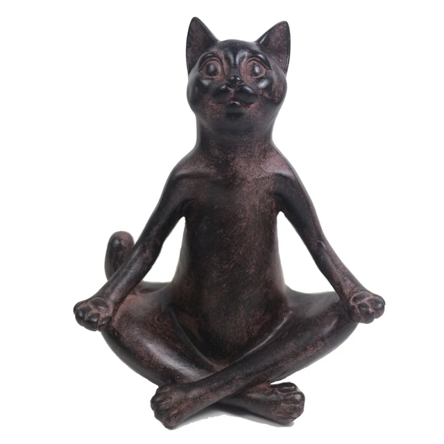 Kitty Yoga